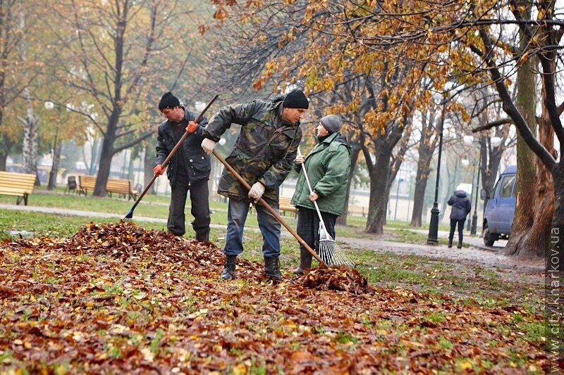 Глава управы района Восточный проверил уборку листвы