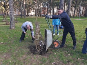 В новом парке в Новокосино посадили деревья