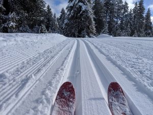 Этой зимой в парке «Сокольники» появится новая лыжная трасса, Металлургов откроется горнолыжный склон