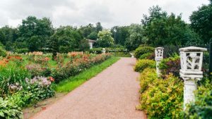 Большой розарий в парке «Сокольники» выбран сезонной новинкой