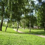 Более трех тысяч жителей ВАО поддержали инициативу благоустройства парка «Янтарная горка»