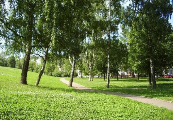 Более трех тысяч жителей ВАО поддержали инициативу благоустройства парка «Янтарная горка»